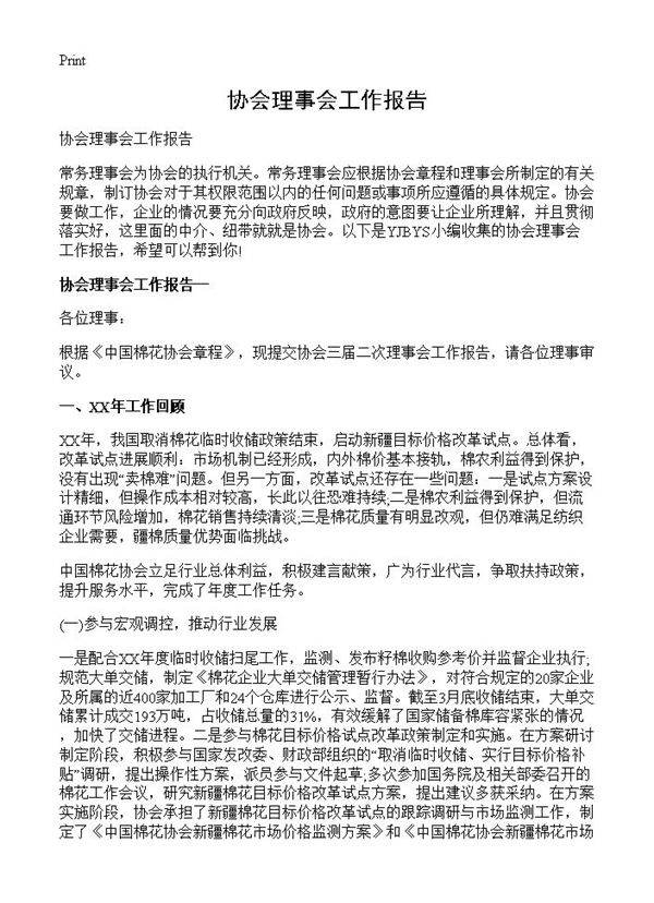 协会理事会工作报告