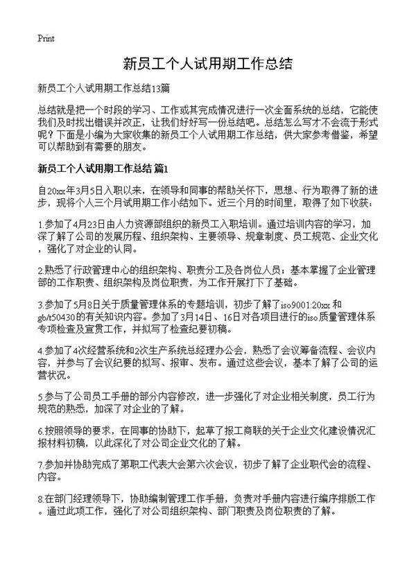 新员工个人试用期工作总结