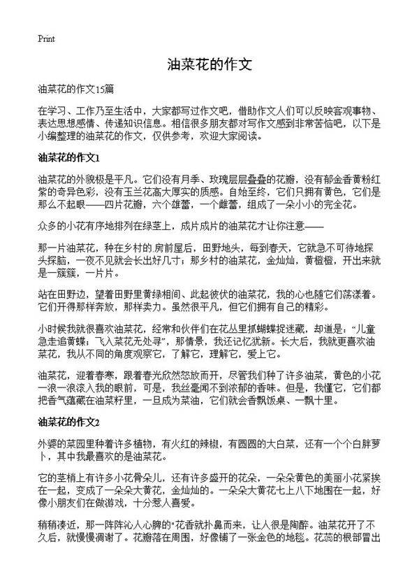 油菜花的作文