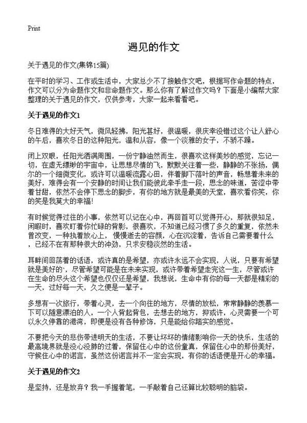 遇见的作文15篇