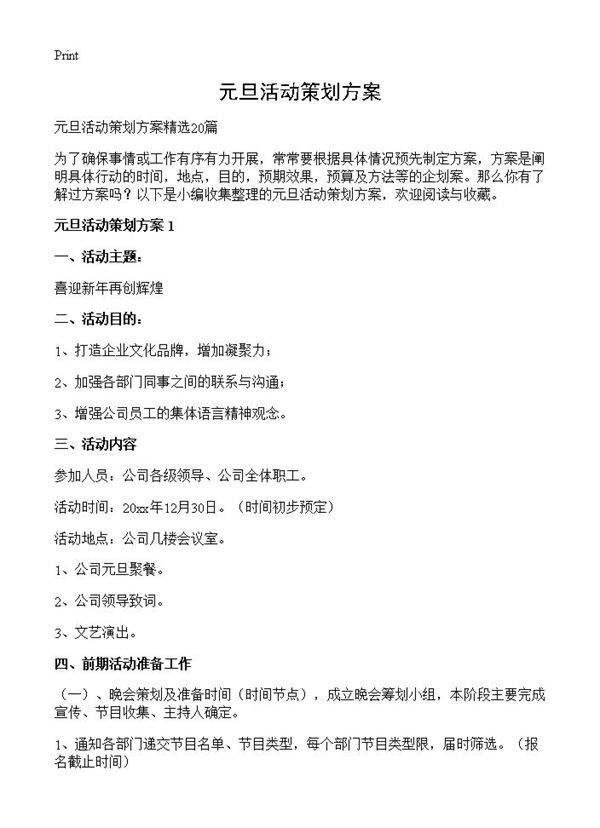 元旦活动策划方案