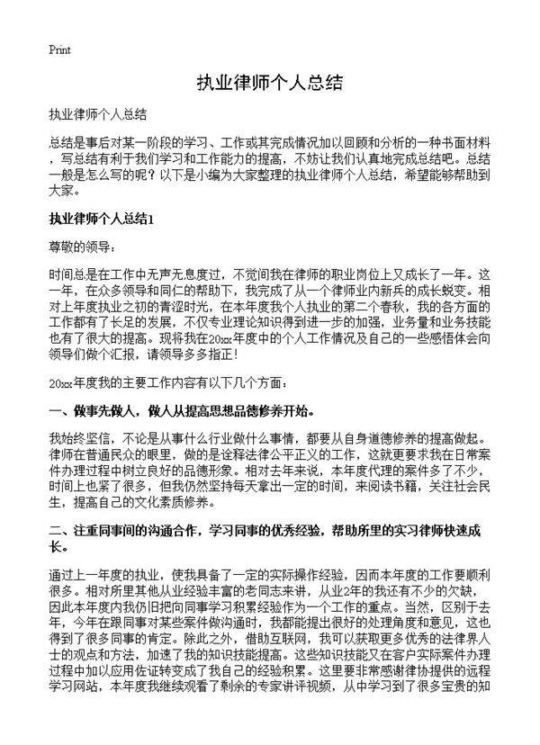 执业律师个人总结
