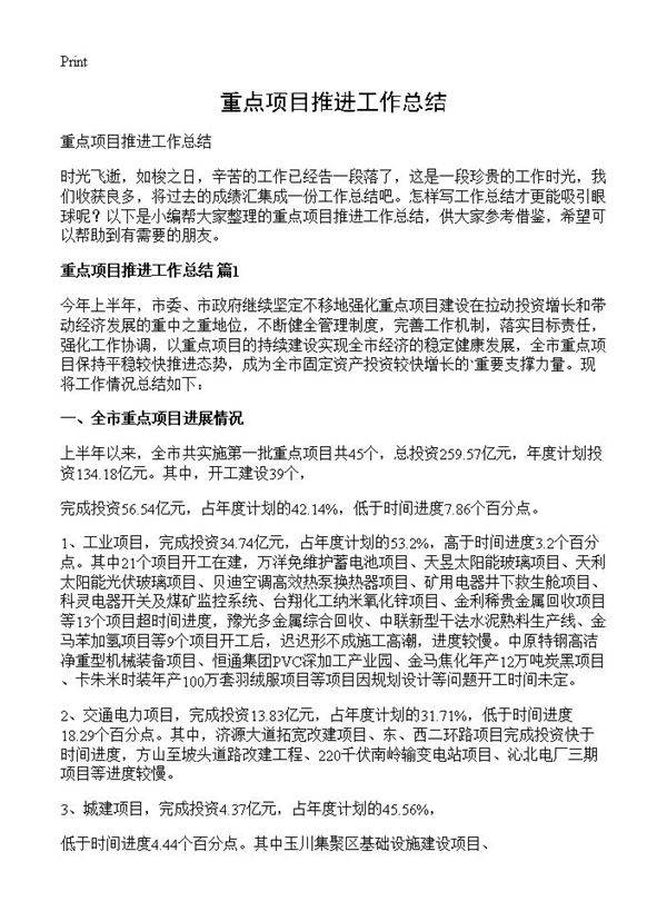 重点项目推进工作总结