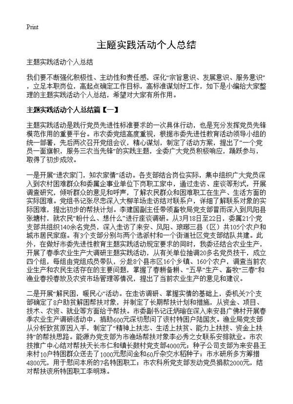 主题实践活动个人总结