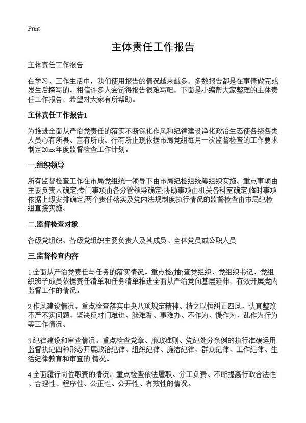 主体责任工作报告