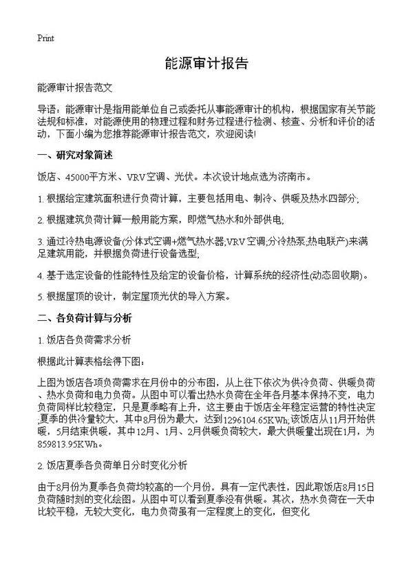 能源审计报告