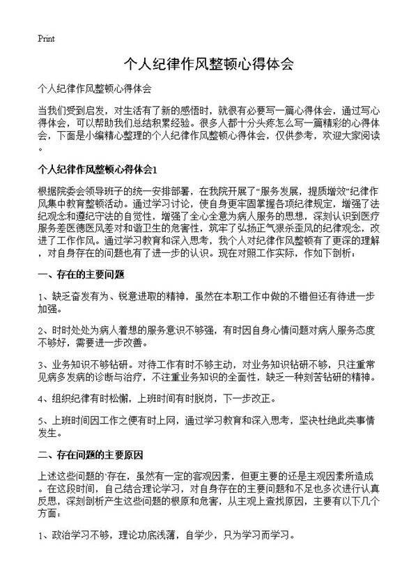 个人纪律作风整顿心得体会