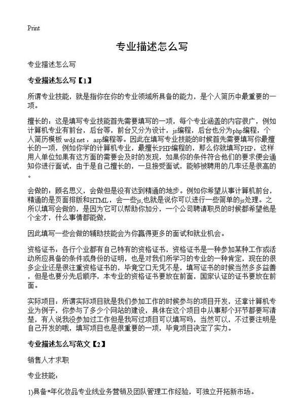 专业描述怎么写