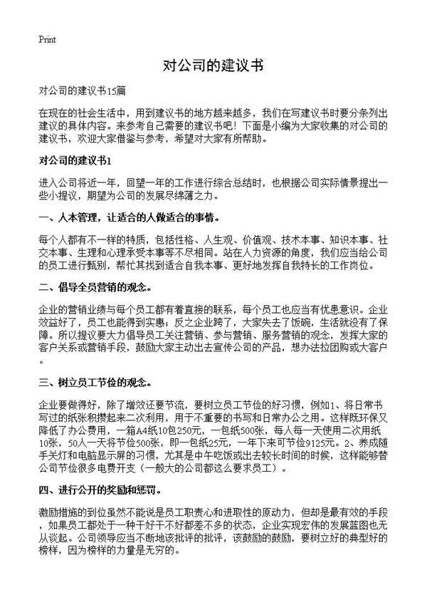 对公司的建议书