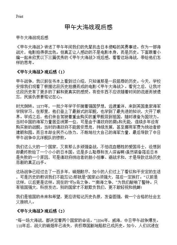 甲午大海战观后感