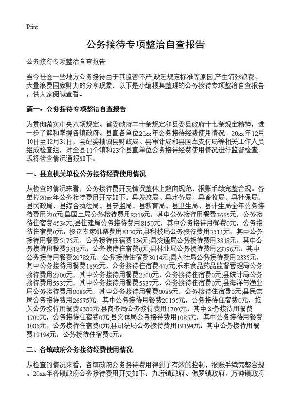 公务接待专项整治自查报告