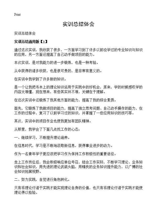 实训总结体会