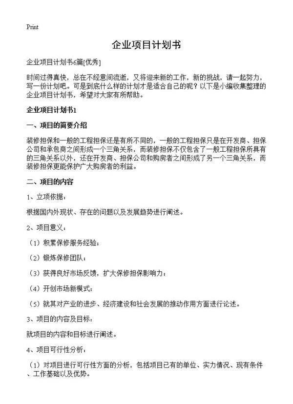 企业项目计划书