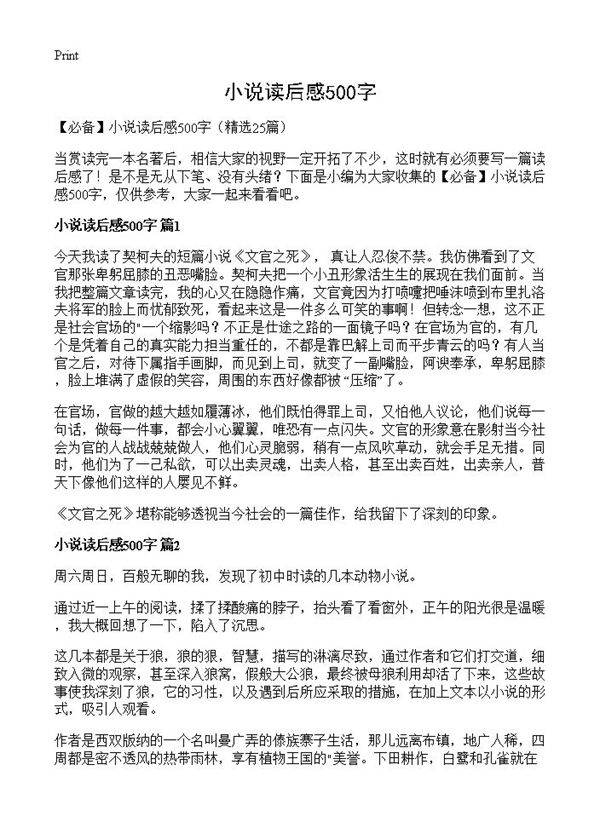 小说读后感500字25篇