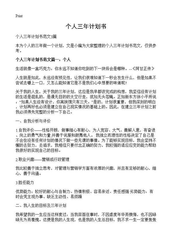 个人三年计划书