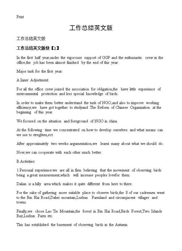工作总结英文版