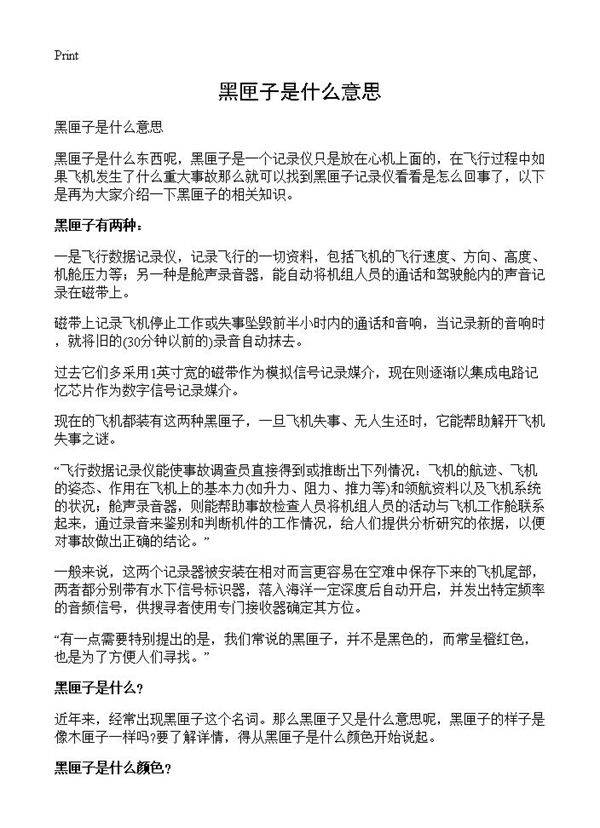 黑匣子是什么意思