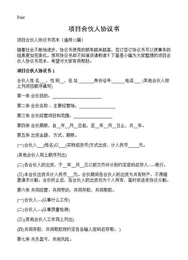 项目合伙人协议书11篇