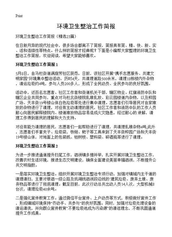 环境卫生整治工作简报23篇