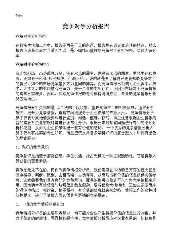 竞争对手分析报告