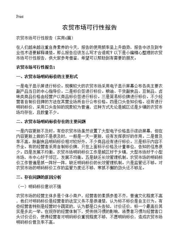 农贸市场可行性报告6篇