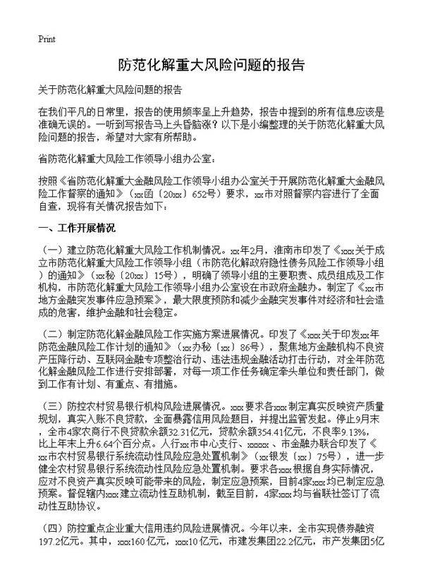 防范化解重大风险问题的报告