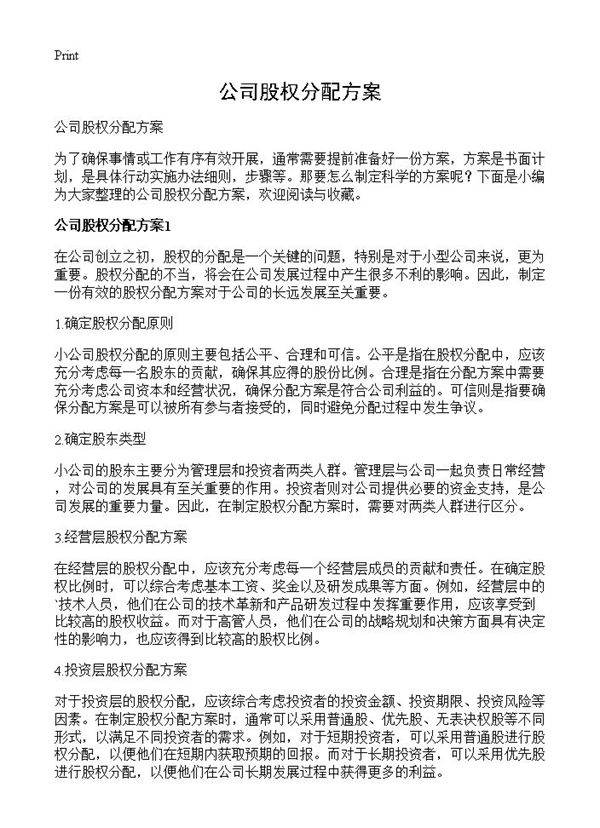 公司股权分配方案