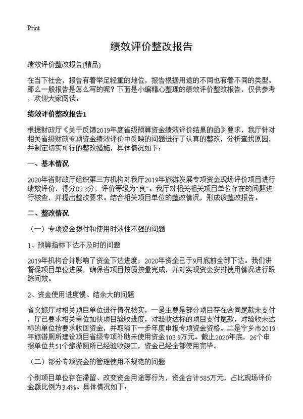 绩效评价整改报告