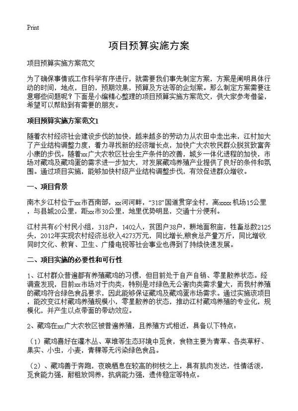 项目预算实施方案