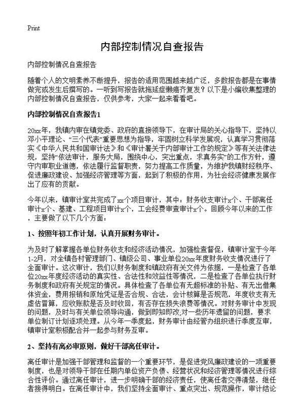 内部控制情况自查报告