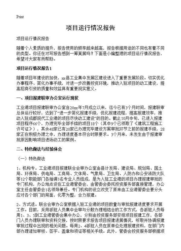 项目运行情况报告