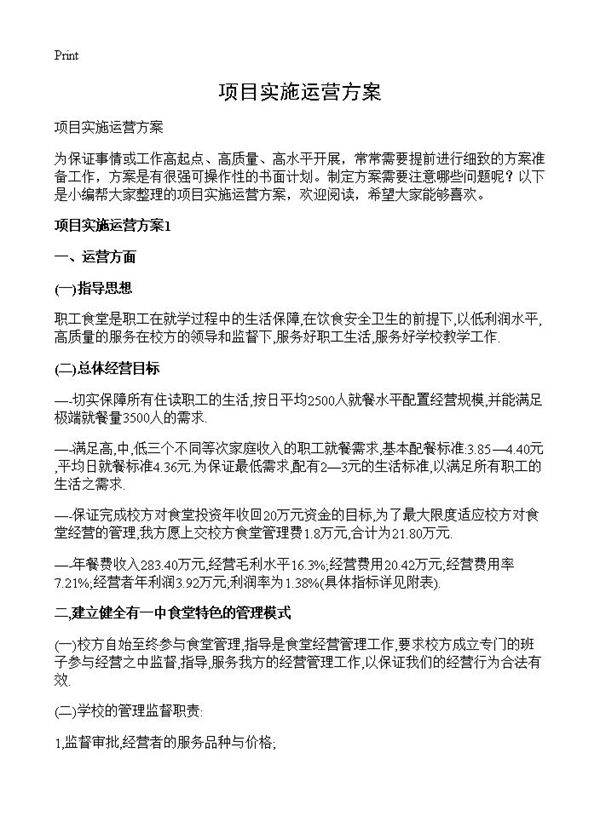 项目实施运营方案