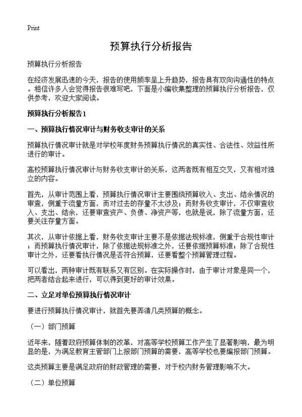 预算执行分析报告