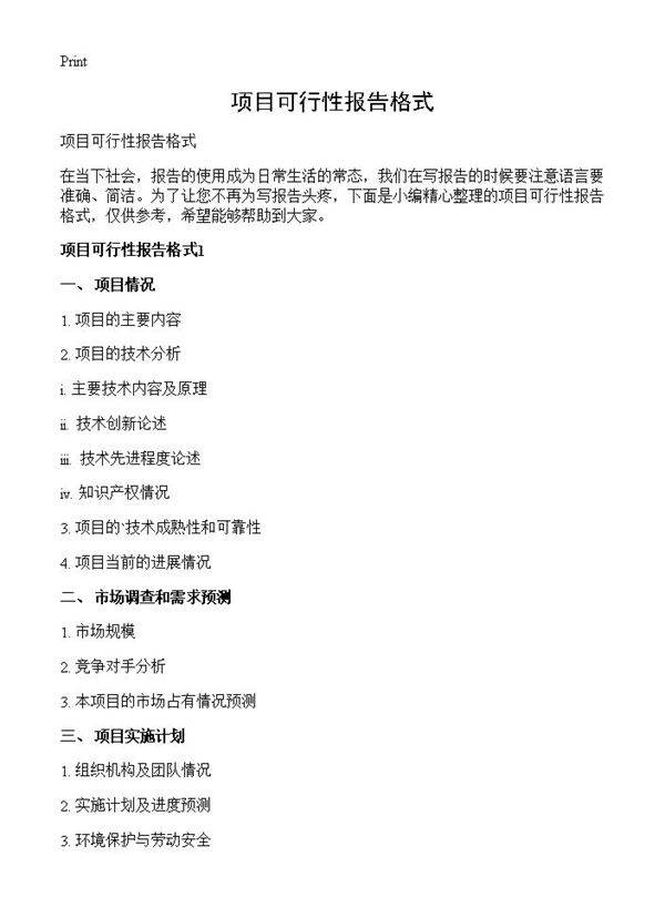 项目可行性报告格式