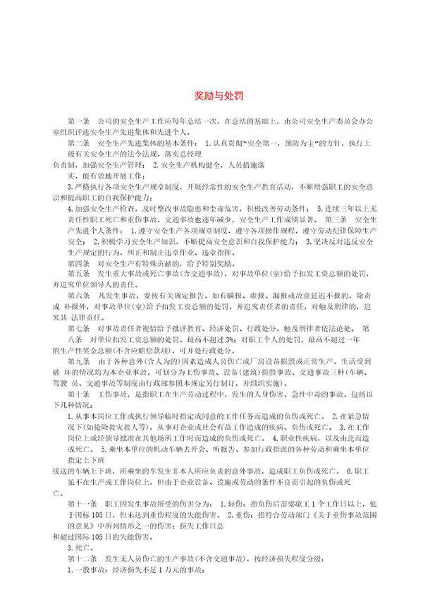 奖励与处罚说明