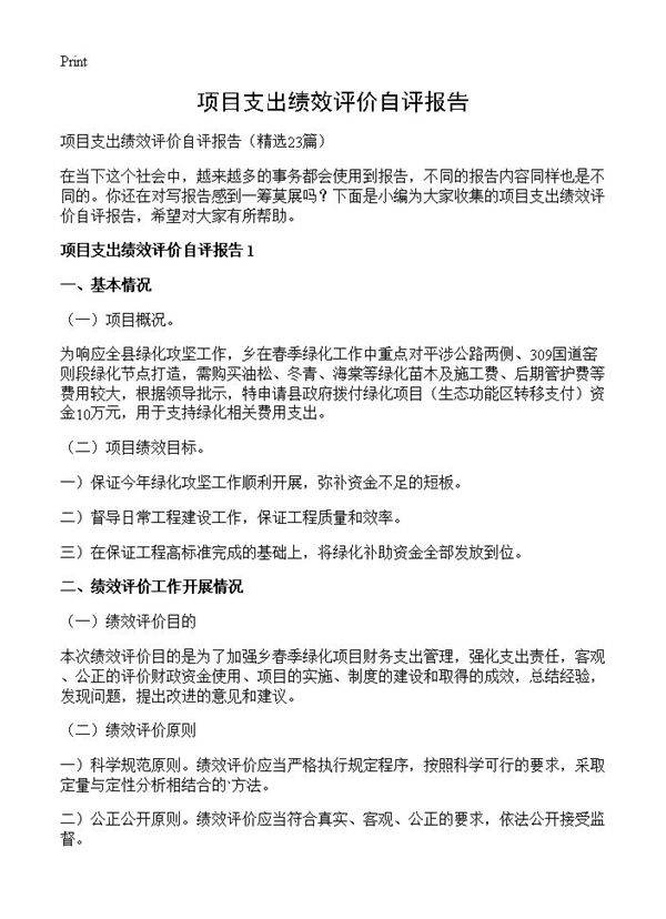 项目支出绩效评价自评报告23篇