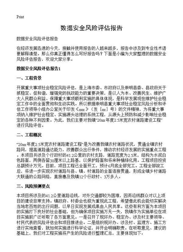 数据安全风险评估报告