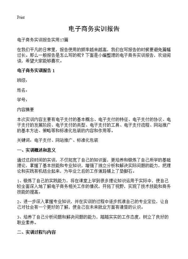 电子商务实训报告