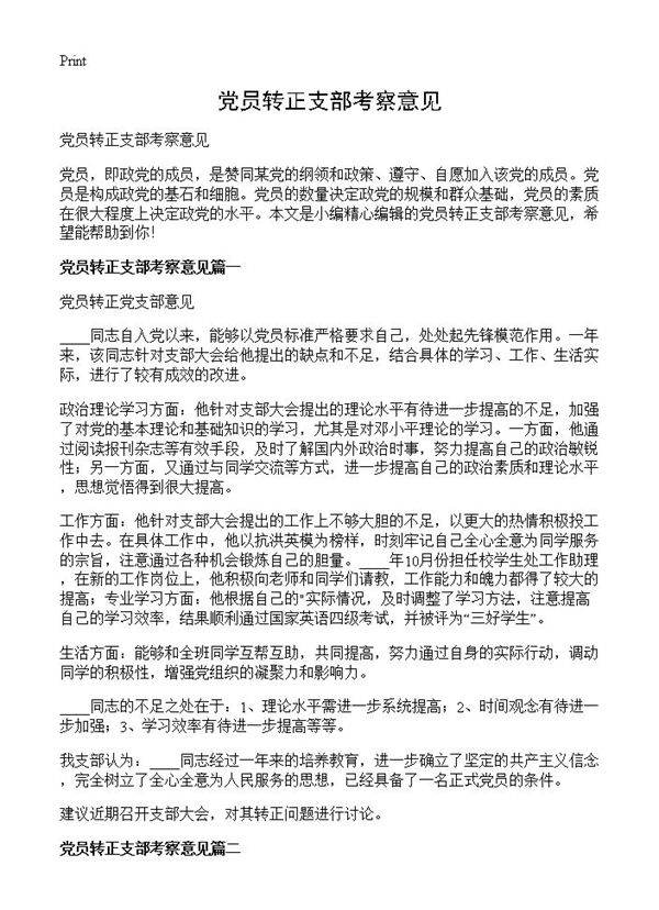 党员转正支部考察意见