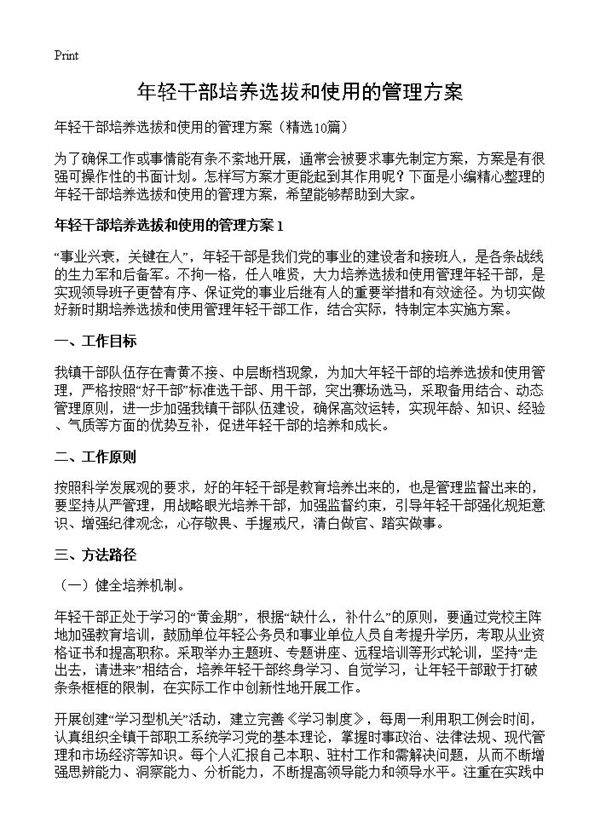 年轻干部培养选拔和使用的管理方案10篇