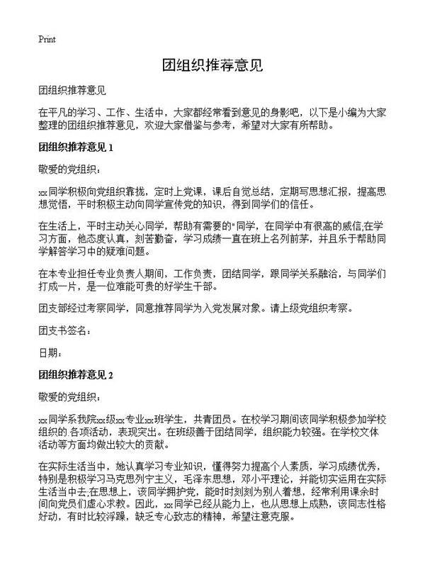 团组织推荐意见
