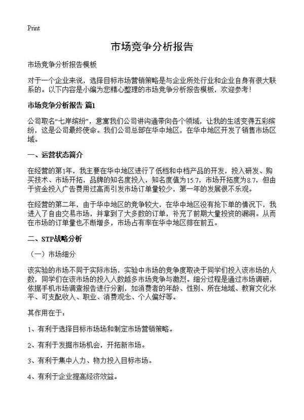 市场竞争分析报告