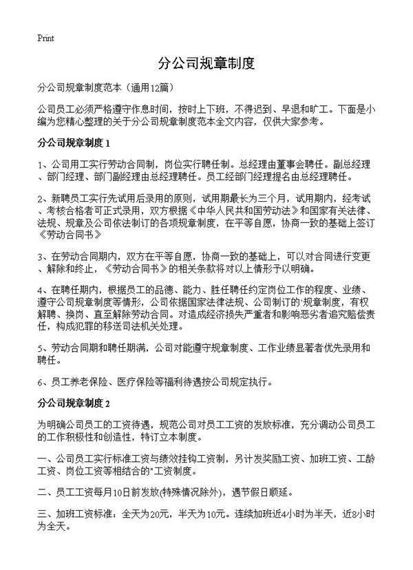 分公司规章制度12篇