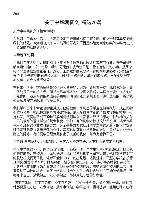关于中华魂征文20篇