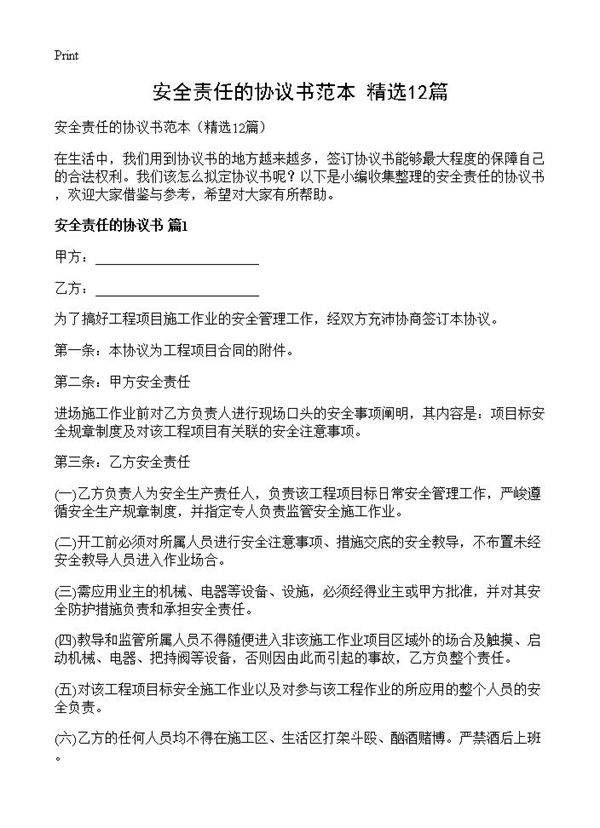 安全责任的协议书范本12篇