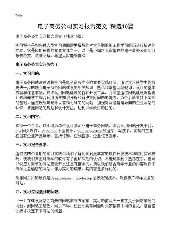 电子商务公司实习报告范文10篇