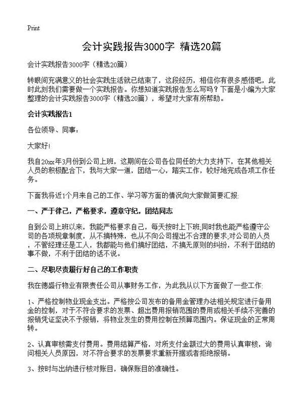 会计实践报告3000字20篇