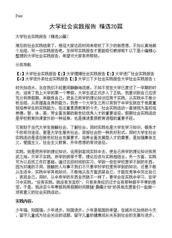 大学社会实践报告20篇