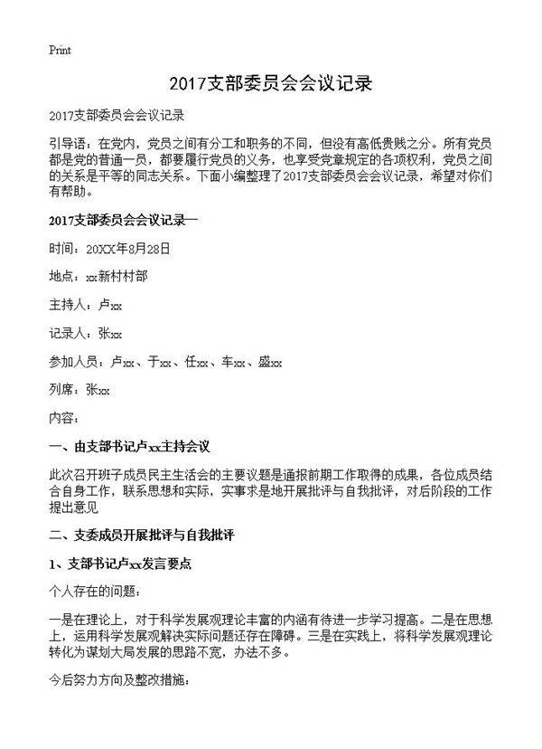 2017支部委员会会议记录