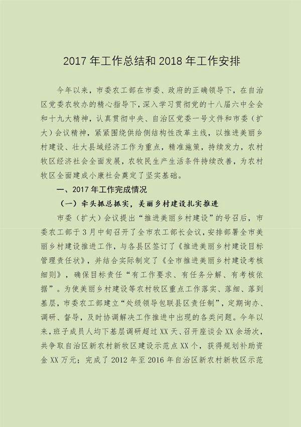 市委农办工作总结和20XX年工作思路
